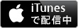 iTunes Store